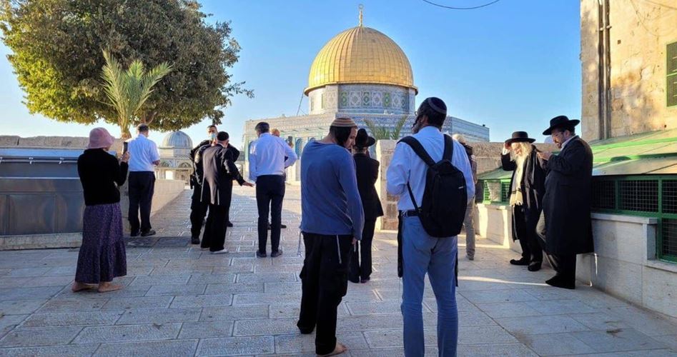 Over 100 extremist Jewish settlers defile Aqsa Mosque