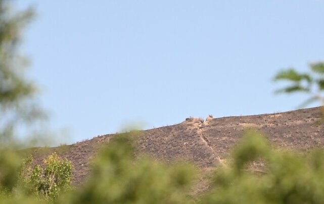وزارة الدفاع الأذربيجانية تعلن عن قصف مواقعها على الحدود مع أرمينيا وقره باغ