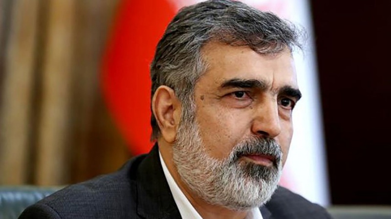イラン原子力庁報道官、「IAEAの15回の報告によれば、イランの責務違反なし」