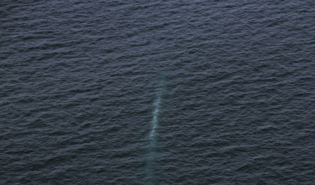 كوريا الشمالية تختبر غواصة جديدة قادرة على شن هجوم نووي