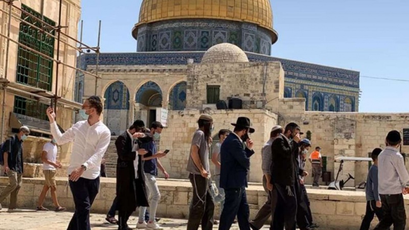 Decine di coloni hanno invaso la moschea al-Aqsa