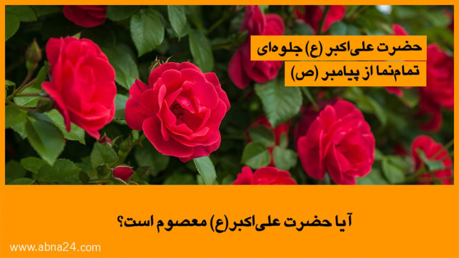 ویدیو / آیا حضرت علی اکبر(ع) معصوم است؟