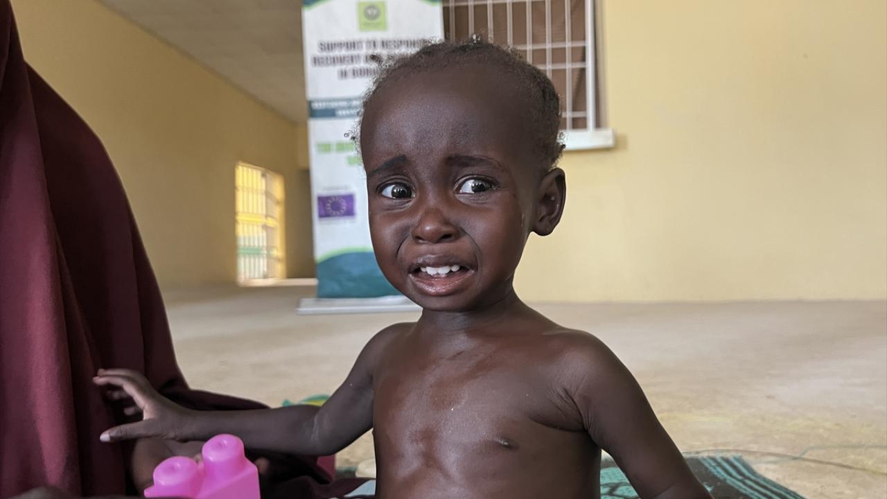 حوادث تروریستی در نیجریه ناامنی غذایی جدی ایجاد کرده است