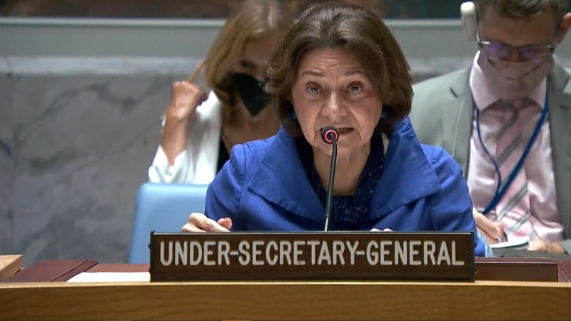 Акцент Организации Объединенных Наций на необходимости защиты прав палестинского народа