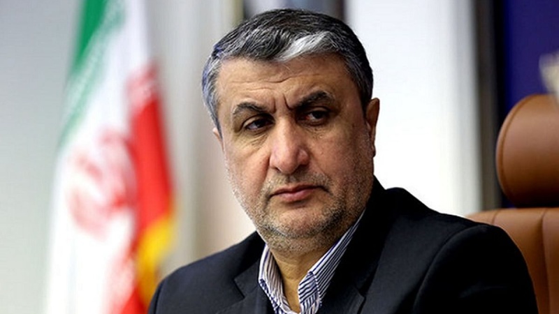 イラン原子力庁長官、「IAEAは核協議の責任者ではない」