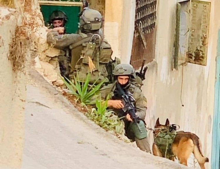 القوات الصهيونية تشن حملة مداهمات في مناطق وتشتبك مع مقاومين بأخرى