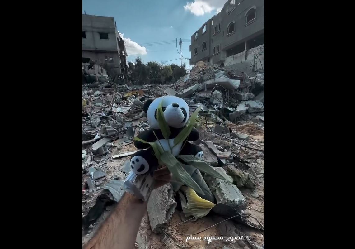Video: Gaza, where dreams are turned into rubble