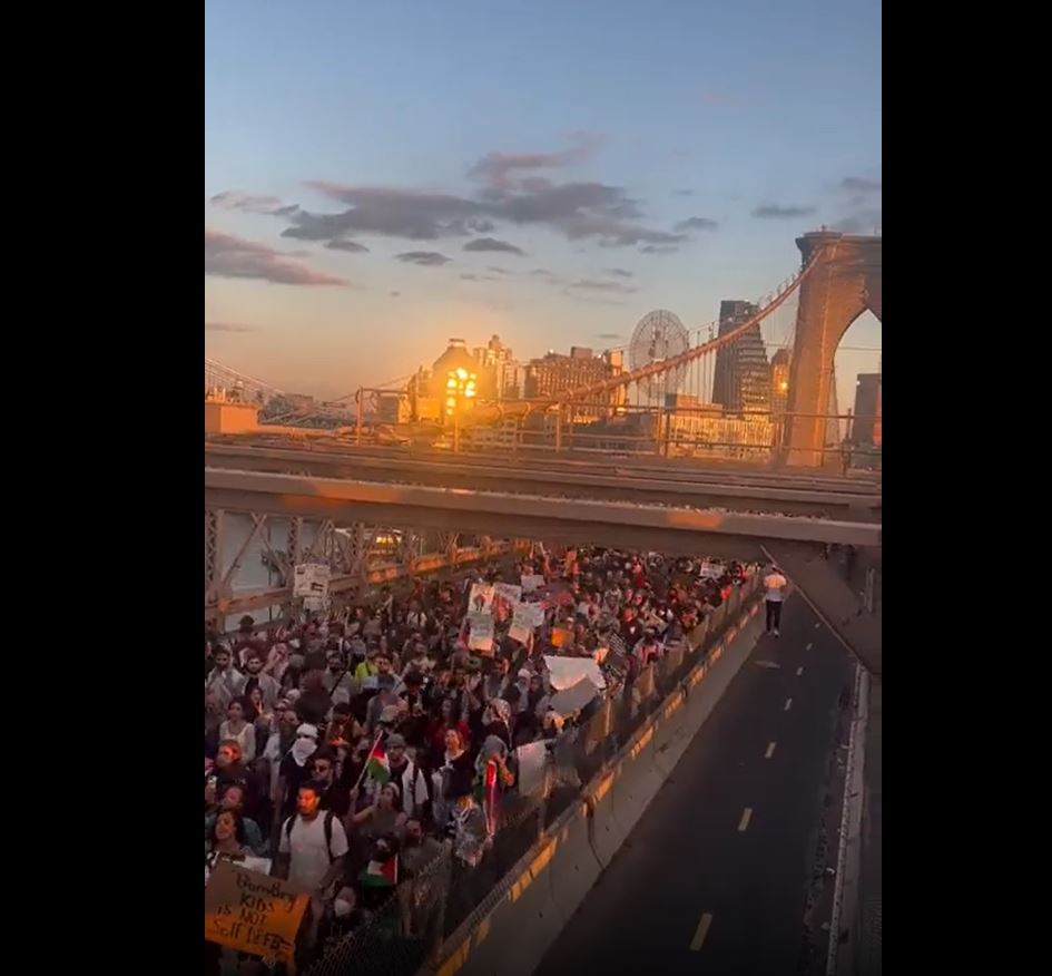 Video: New York stands with Palestine