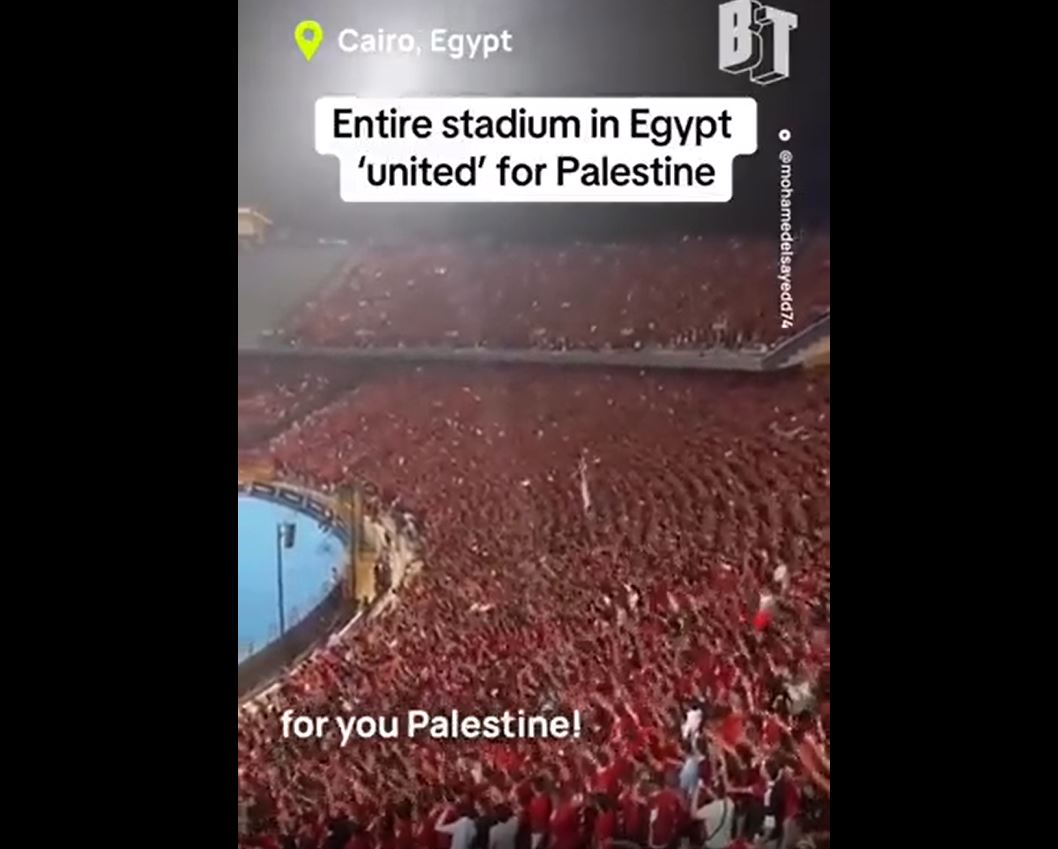 Video: Thousands of Egyptian fans of Al-Ahly FC cheer in support of Palestine