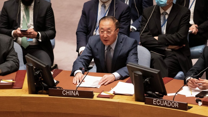 中国代表在安理会就加沙危机表态：全世界须大声疾呼——该打住了！