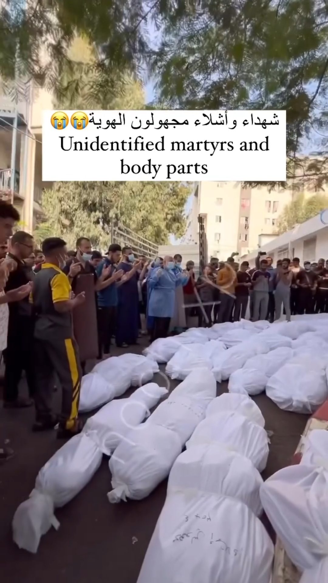 Video: Maraming hindi kilalang mga bangkay 