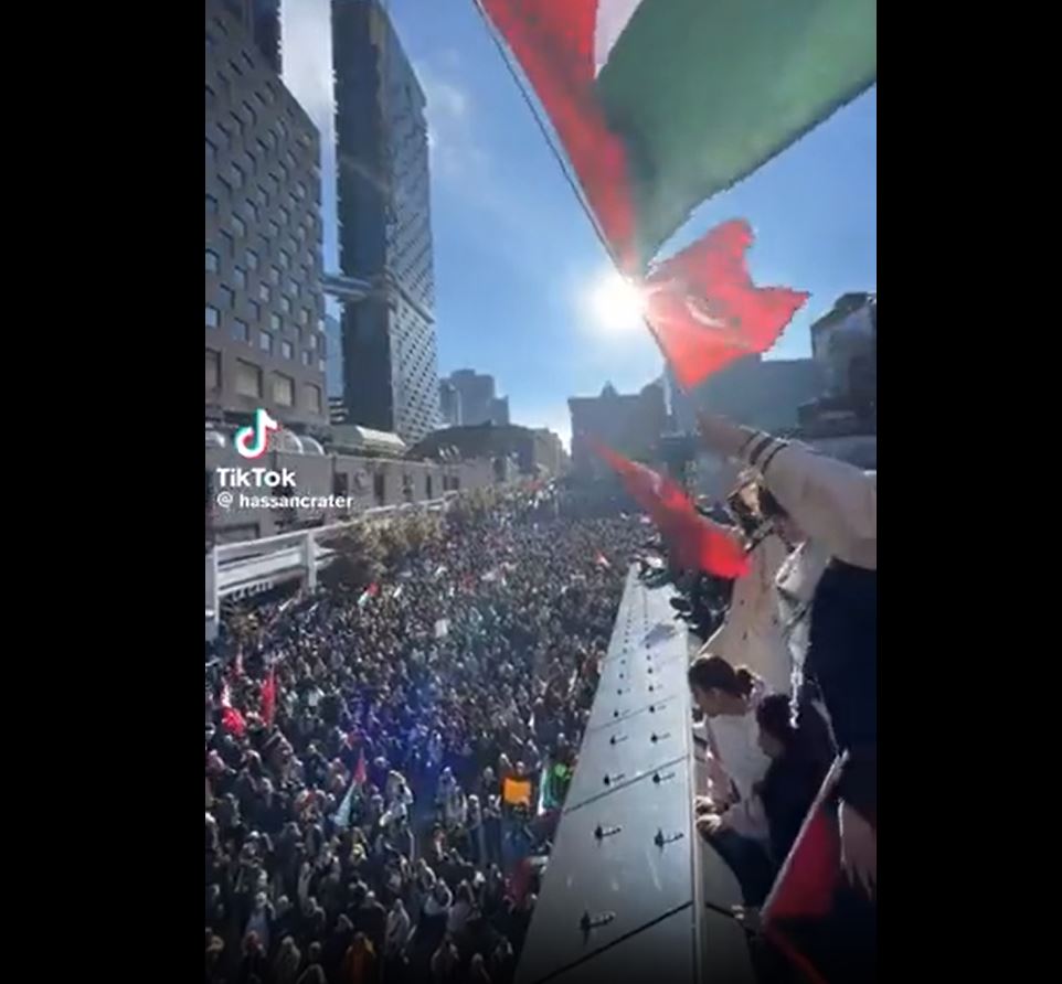 Video: Massive solidarity with Palestine in Montreal, Canada