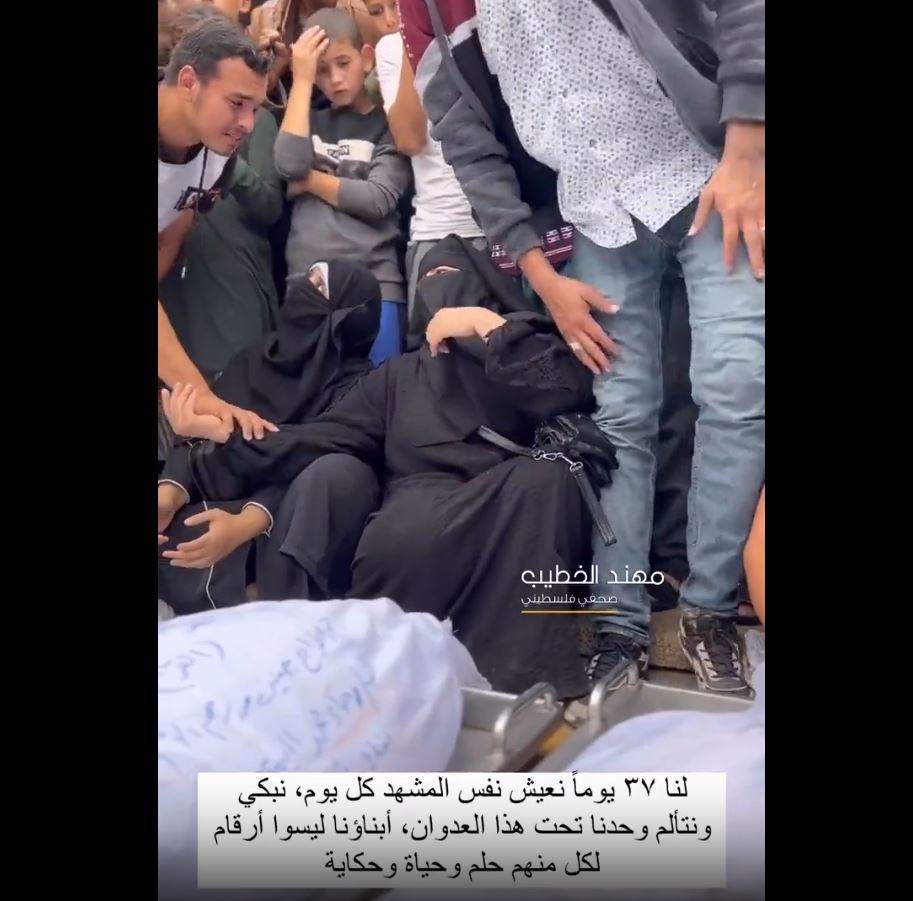 Video: Day 38 of Israeli genocide campaign in Gaza