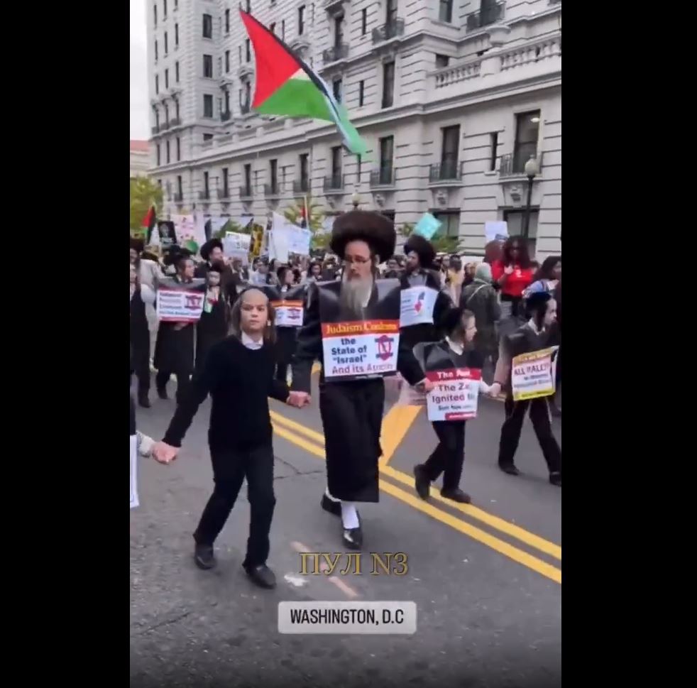 Video: Orthodox Jews march in Washington DC in protest of Israeli genocide in Gaza