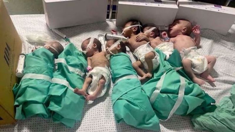 Siku 37 za vita vya Gaza