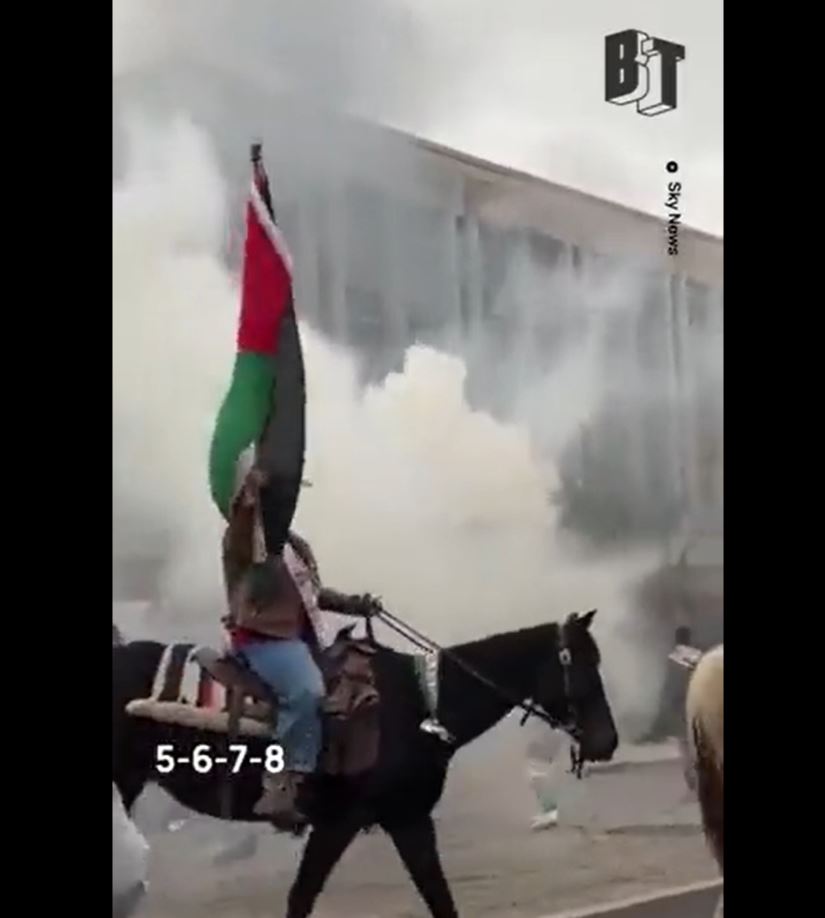 Video: Thousands poured to Texas streets, largest since Israel genocide in Gaza began