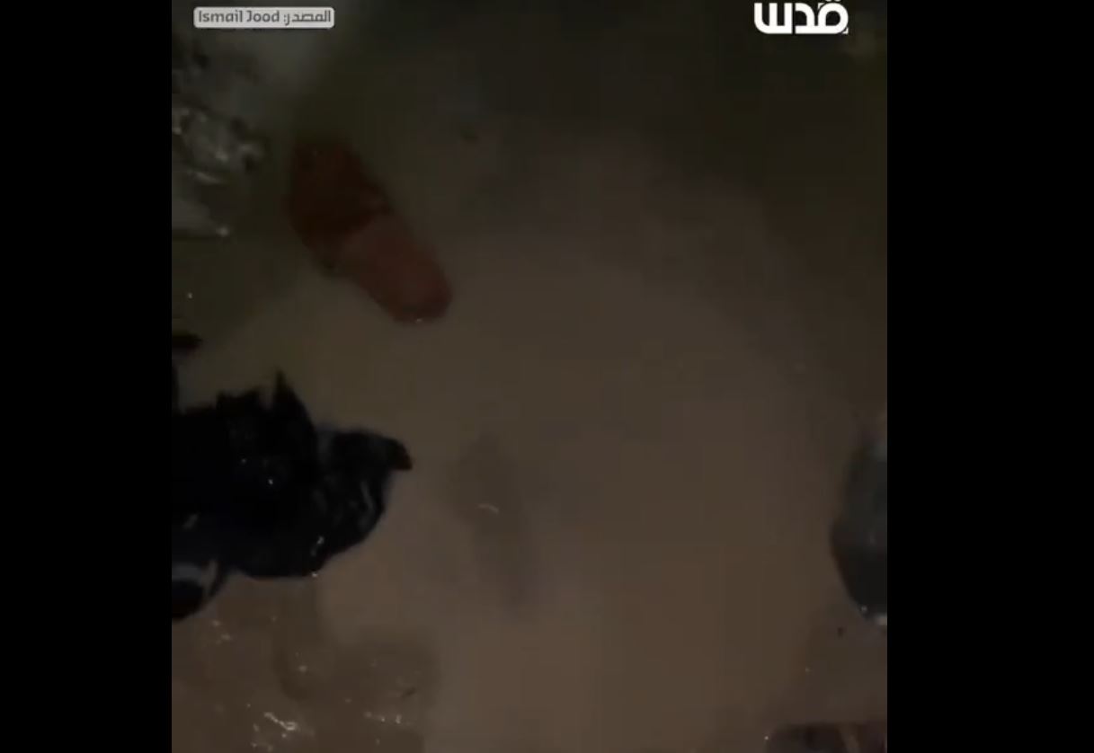 Video: Severe situation of displaced Palestinian civilians under rainy weather