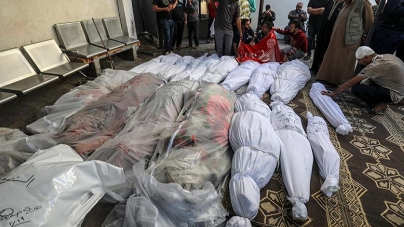 10 Warga Palestina Gugur dalam Serangan Israel ke Gaza Selatan