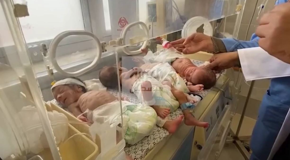 Video: 41 premature babies arrive at Emirates Hospital in Rafah, S Gaza after evacuation from Al-Shifa Hospital