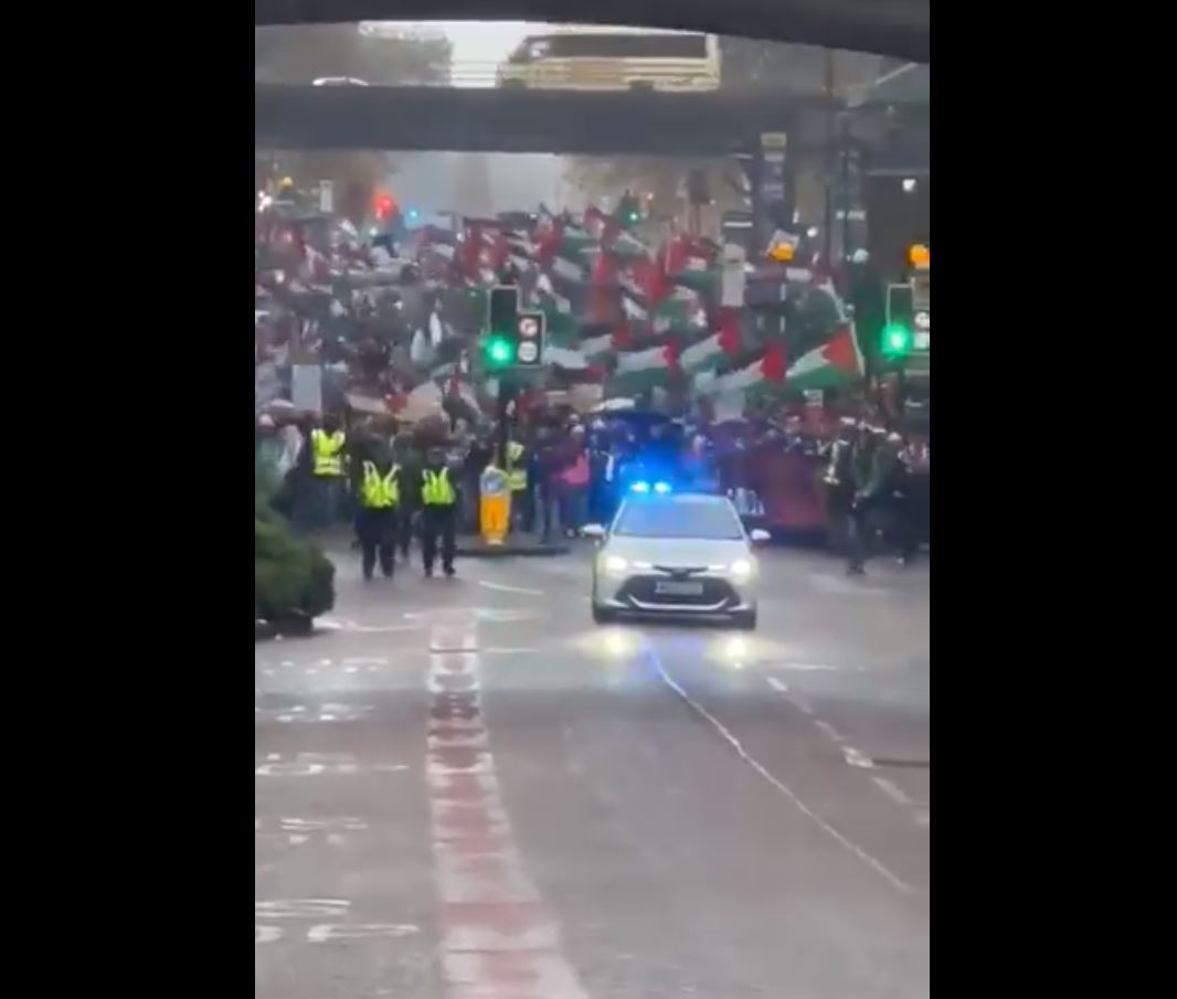 Video: Pro-Palestine march in Manchester in solidarity with Palestinian people