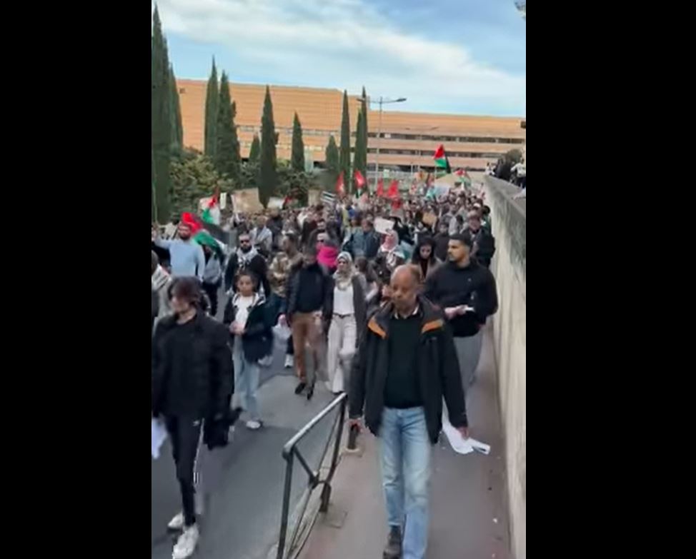 Video: Massive rally in support of Palestine in Montpellier, France