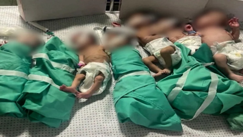 Anak-anak Gaza; Korban Utama Kejahatan Israel