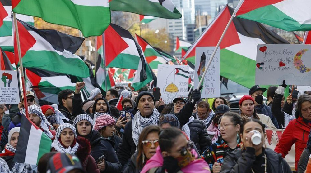 Video: Canadian protesters pressure government to end military support for Israel