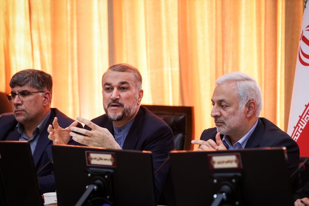 Resistance groups smartly managing pressure on Zionists: Iranian FM