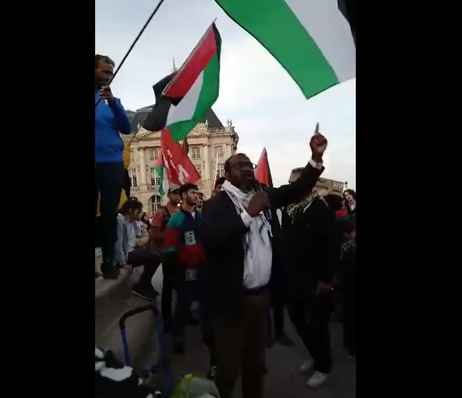 Video: Demonstration in support of Palestinian people in Bordeaux, France