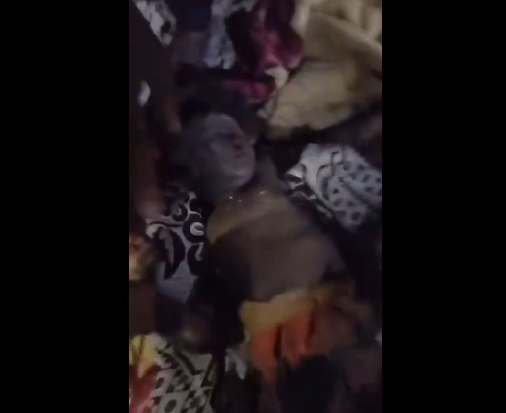 Video: Dozens killed, injured in Israeli shelling on a residential apartment in West Khan Younis, Gaza