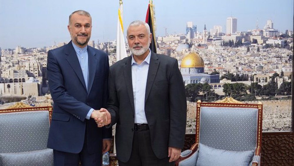Iranian FM, Hamas chief meet ahead of Gaza ceasefire