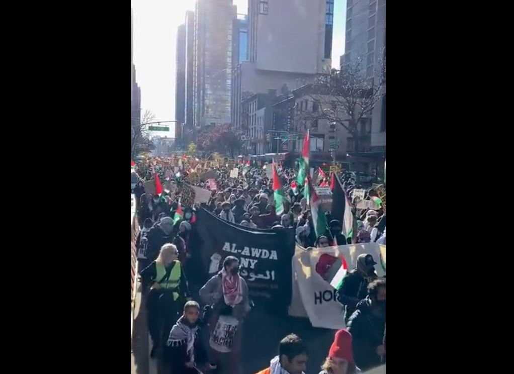 Video: Massive rally in solidarity with Palestine in Manhattan on Black Friday