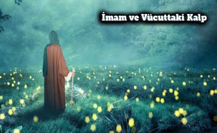 İmam, İnsan Vücudundaki Kalbe Benzer