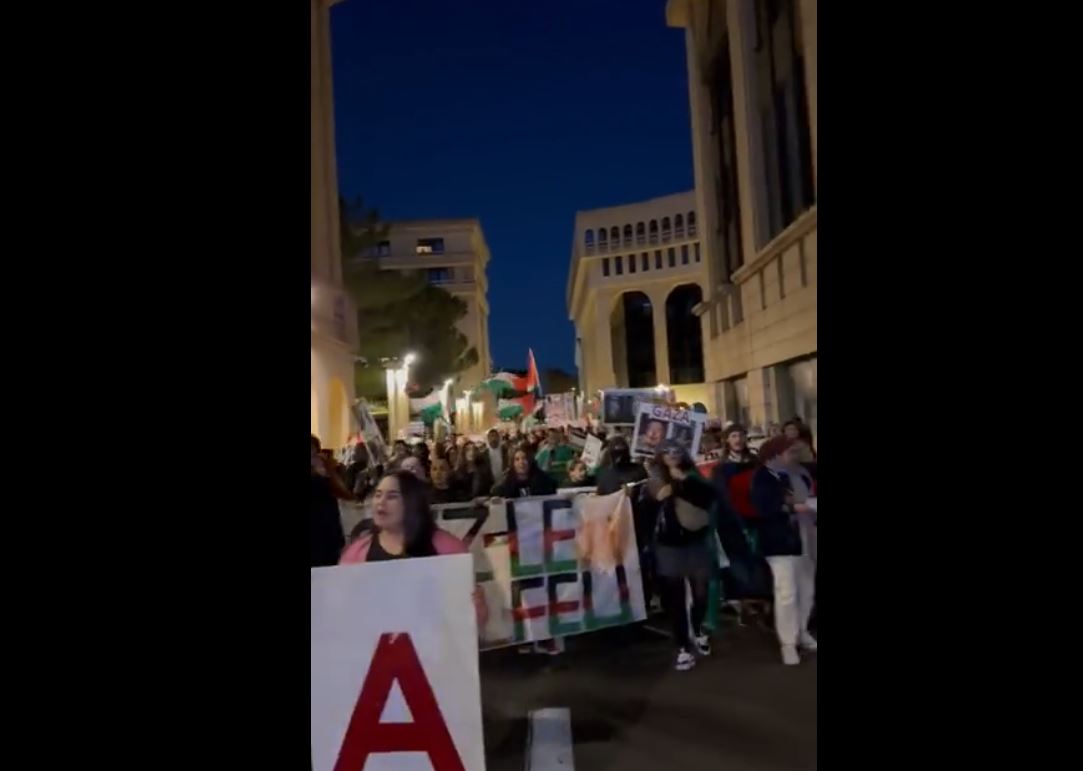 Video: 'Even at cold we still manifest!'; Mass march in Montpellier, France in support of Palestine 