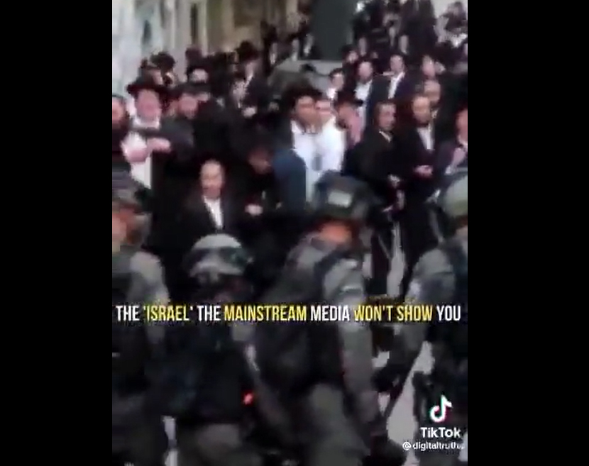 فيديو | قوات الاحتلال تقمع احتفال إسرائيليين رفعوا أعلام فلسطينية ردا على حسن معالمة المقاومة
