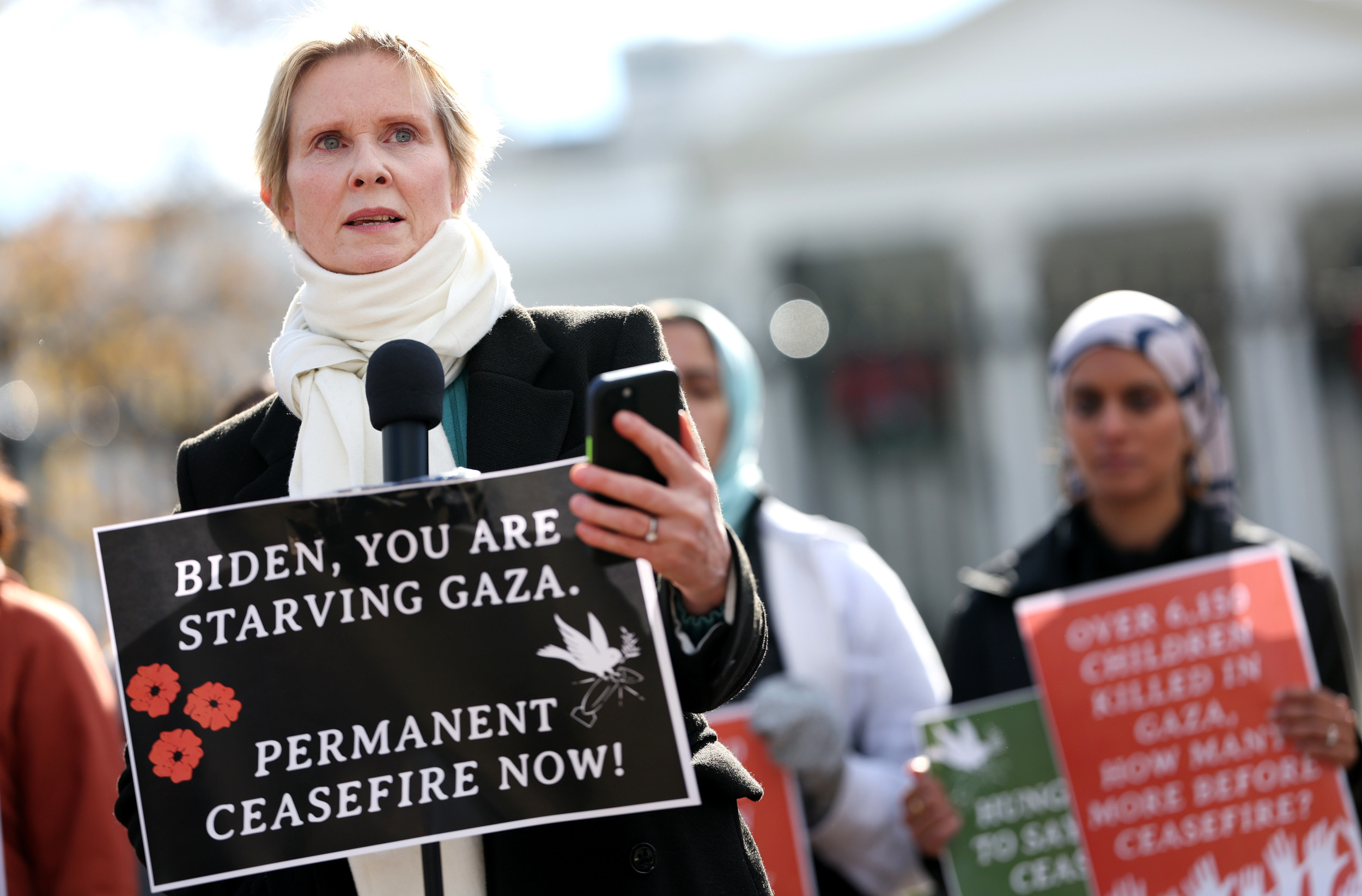 US actress Cynthia Nixon launches hunger strike calling for permanent ceasefire in Gaza