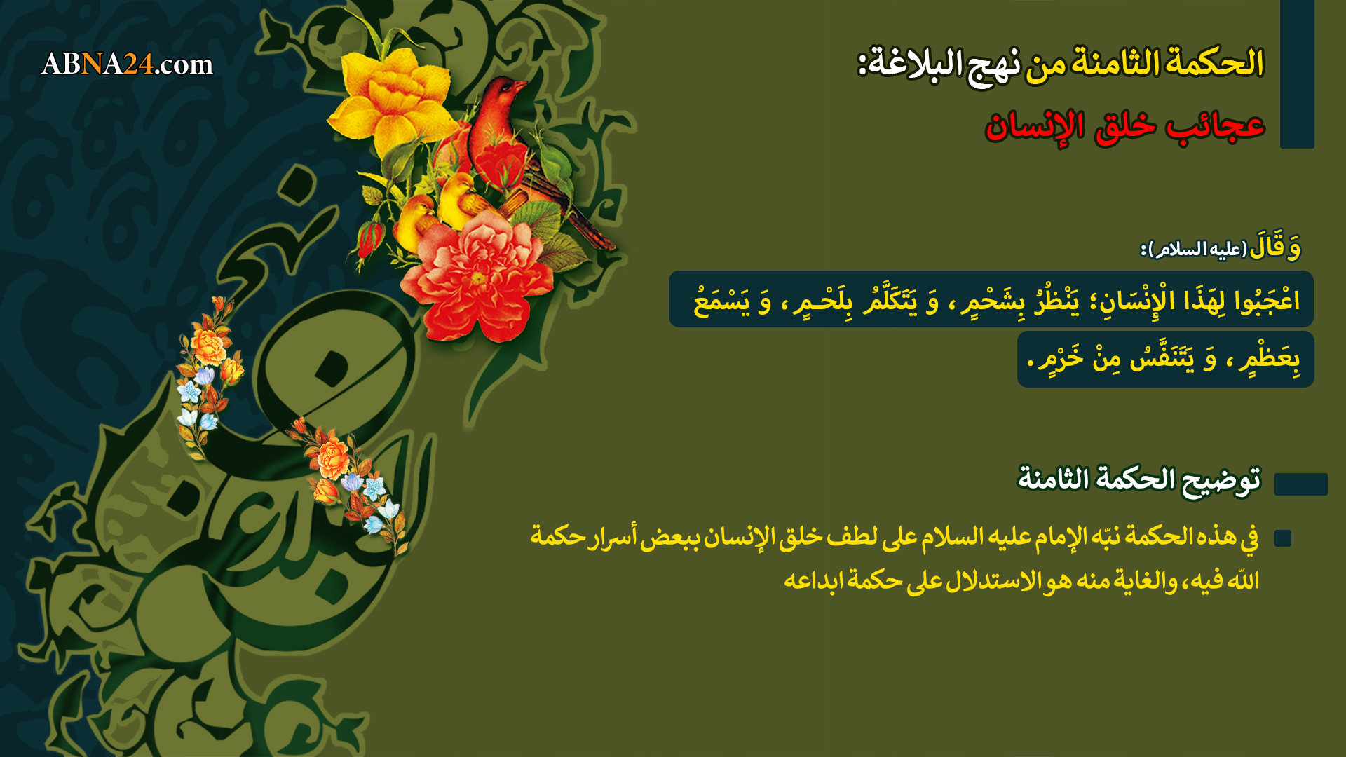 عجائب خلق الإنسان