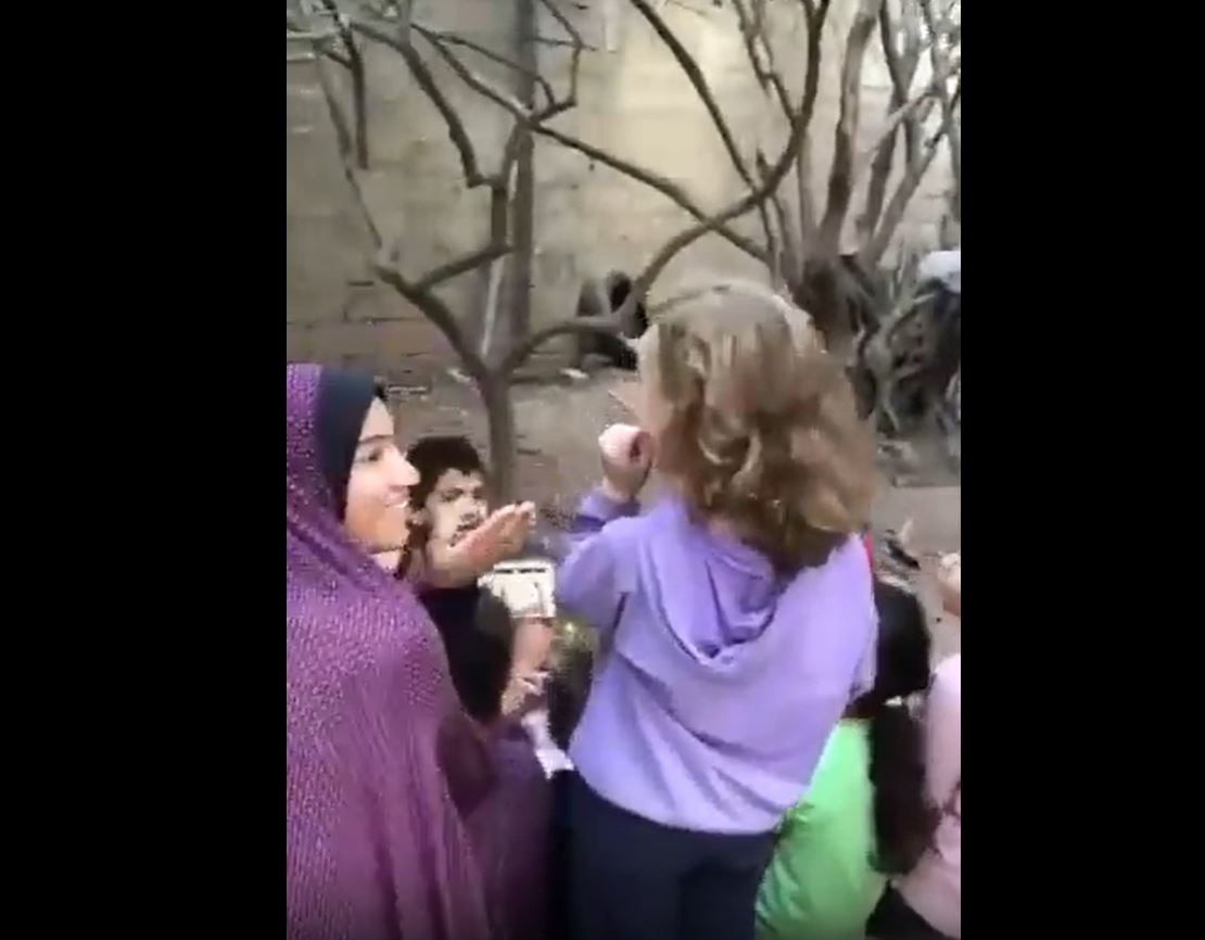 Video: Palestinian family in Gaza defy Israeli bombardment from air, land and sea 