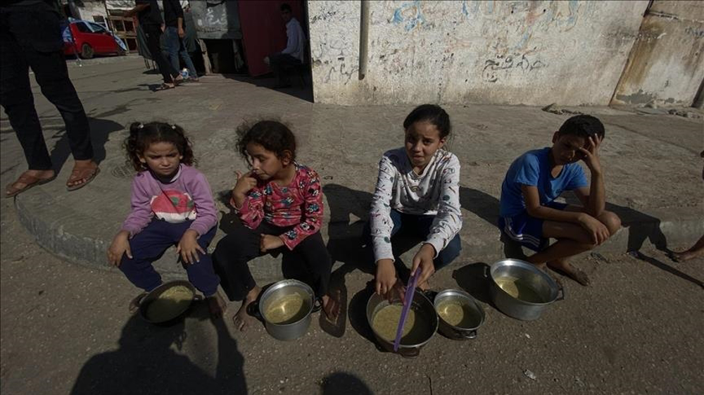 WFP warns Gaza at risk of famine