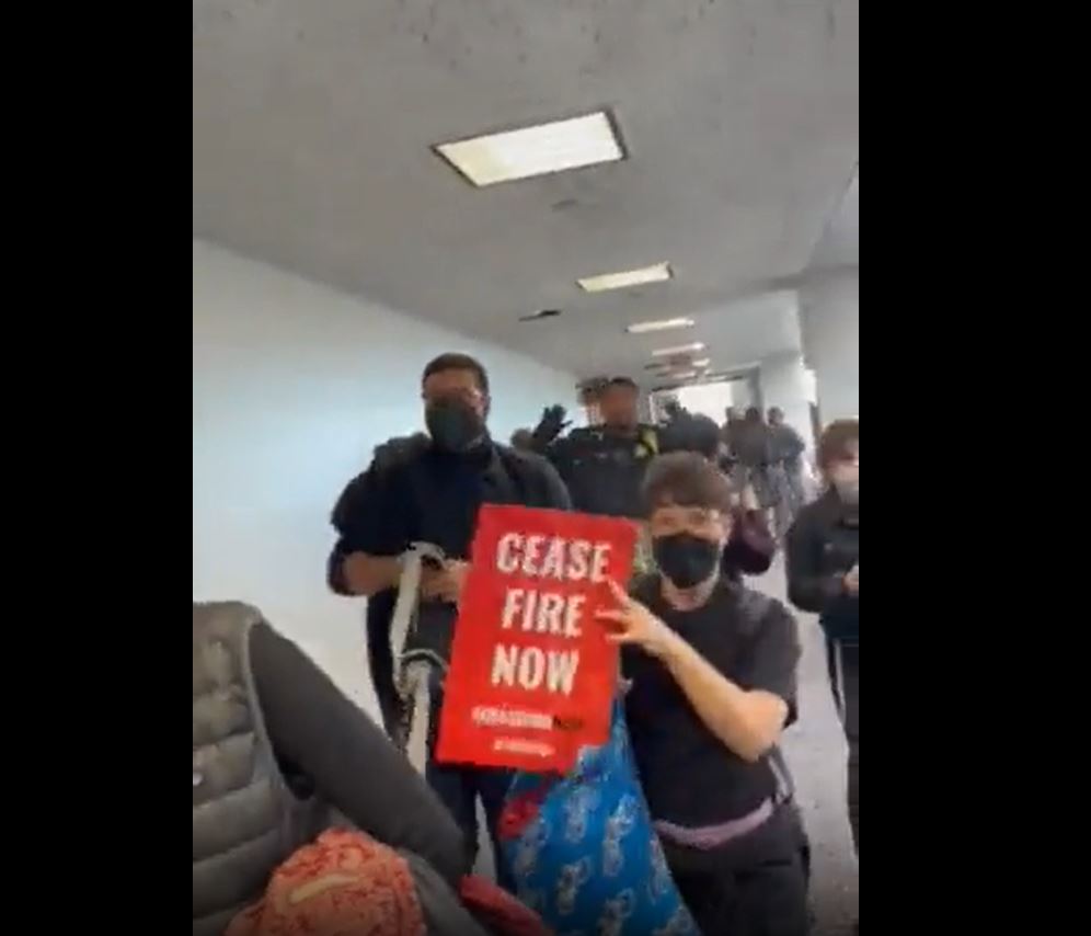 Video: American Jews arrested for sitting in at office of Rep Brian Schatz and calling for ceasefire in Gaza