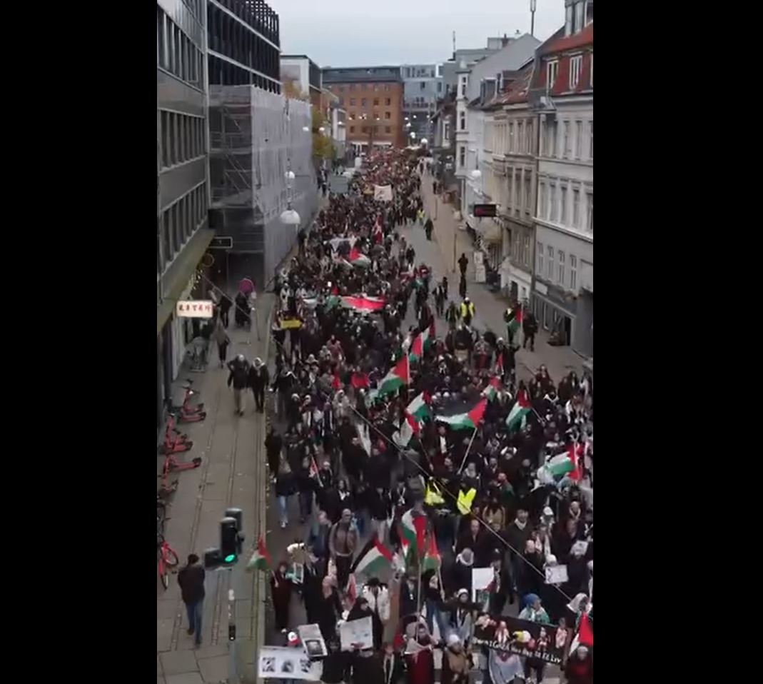 Video: Massive rally in Aarhus, Denmark in solidarity with Palestinian people 