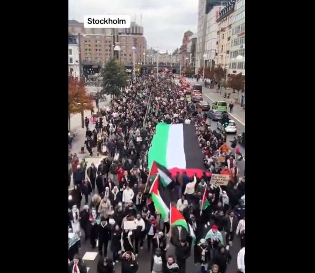 Video: Massive pro-Palestine march in Stockholm, Sweden in protest against Israeli genocide in Gaza