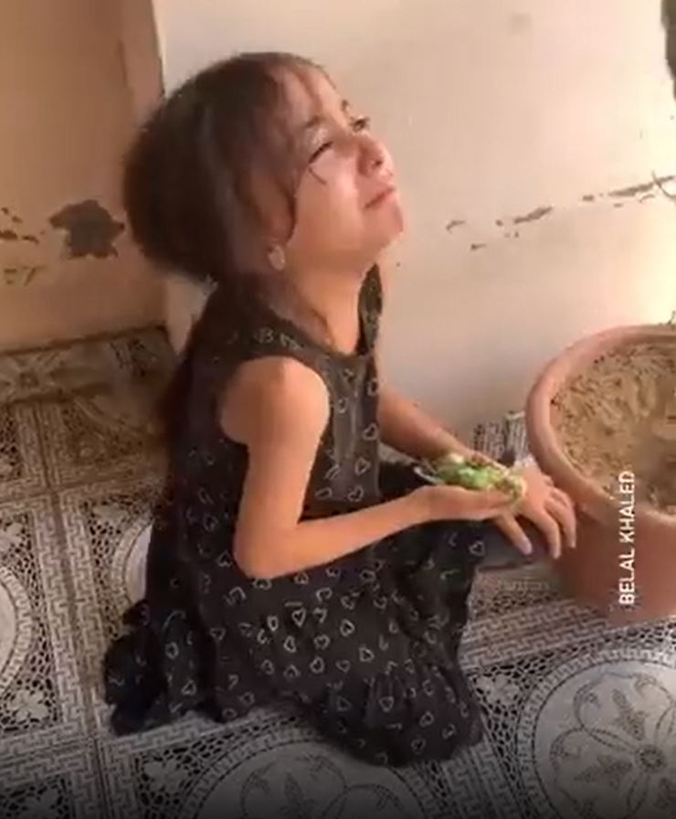 Video: A little Palestinian girl crying after her bird killed in Israeli airstrikes in Gaza