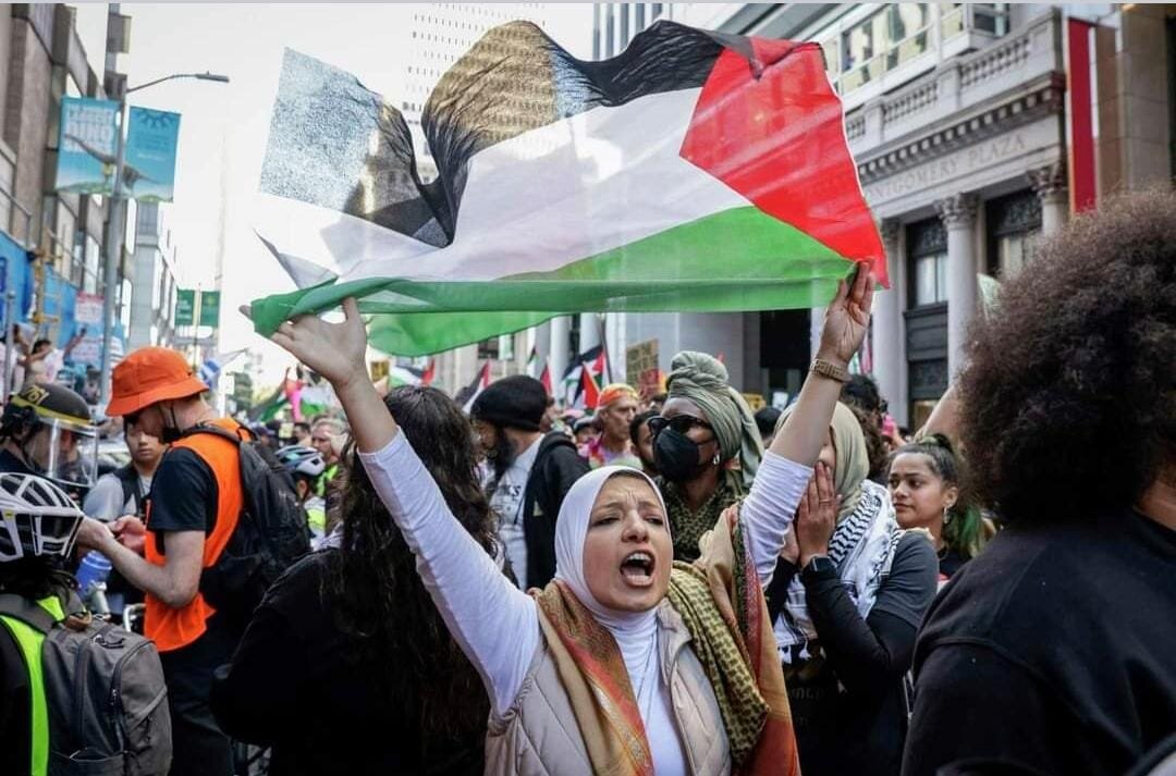 مظاهرات في "أمريكا والسويد وكندا" دعماً لصمود الشعب الفلسطيني