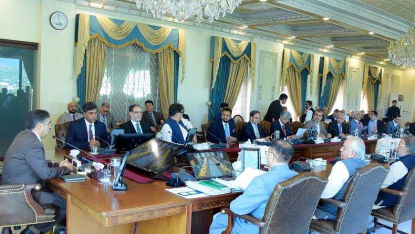 Pakistan emphasizes on supporting Palestine's freedom