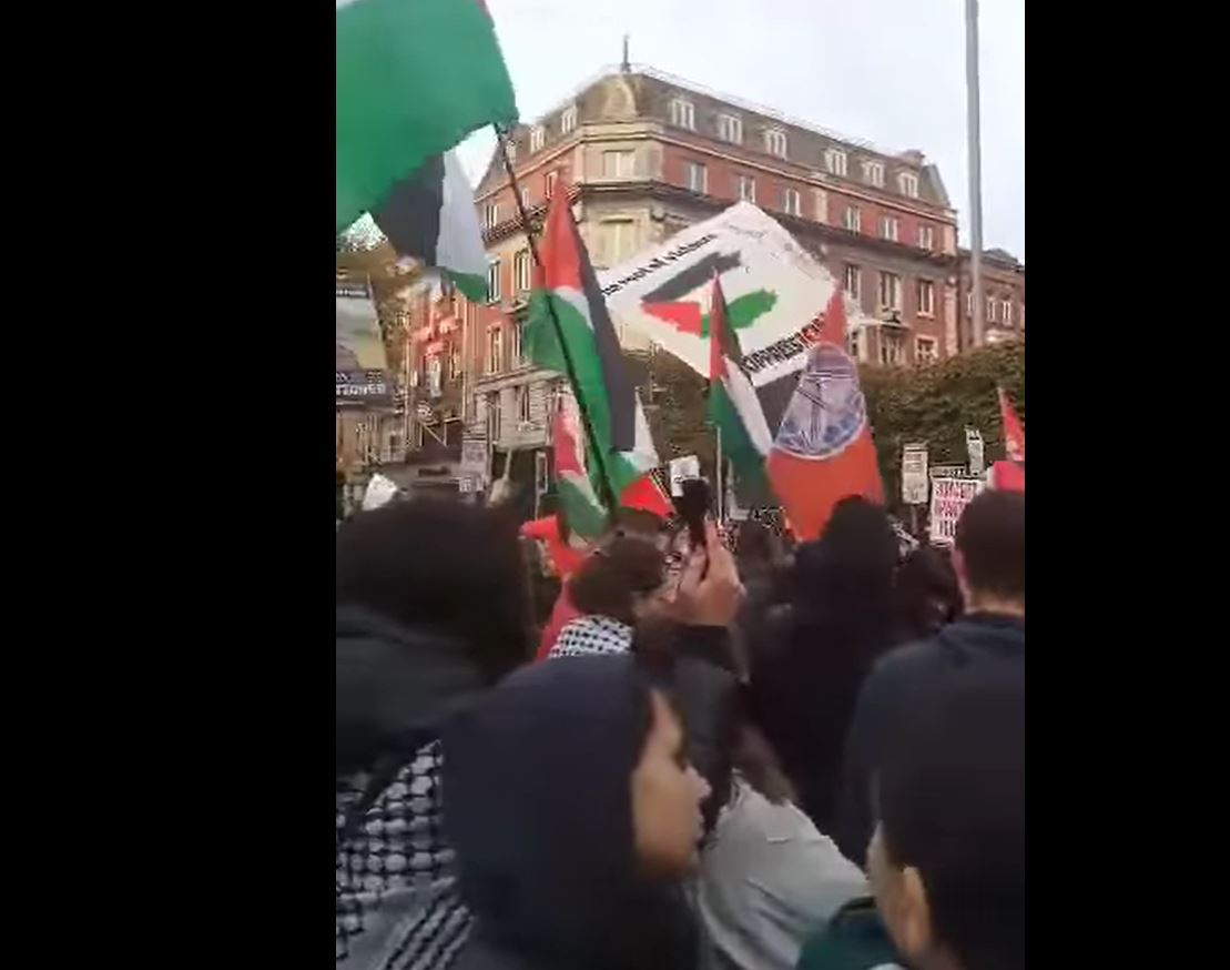 Video: A demonstration in solidarity with Gaza in Irish capital Dublin