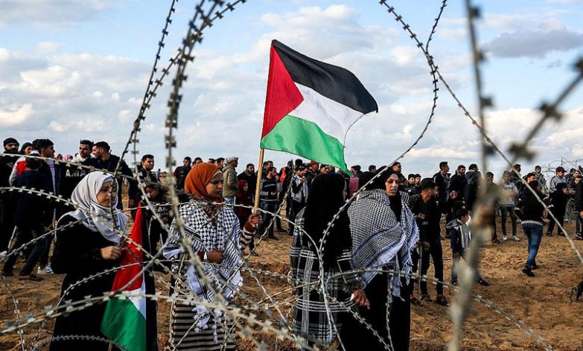 Paper: What would Egypt do as Israeli war on Gaza rages on next door?