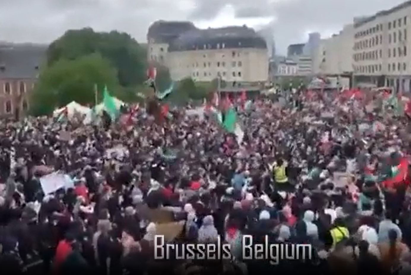 Video: World has risen in support of Palestine
