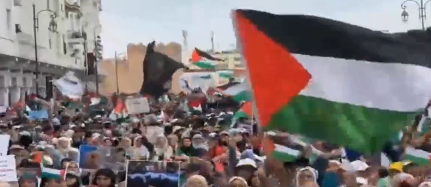 Video: Massive demonstrations in Rabat, Morocco in support of Palestine 