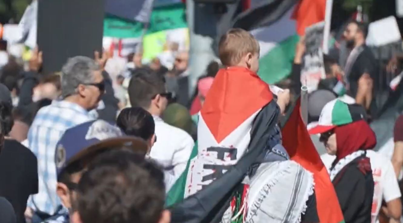Video: Massive rally in Los Angeles, California, in support of Palestine 
